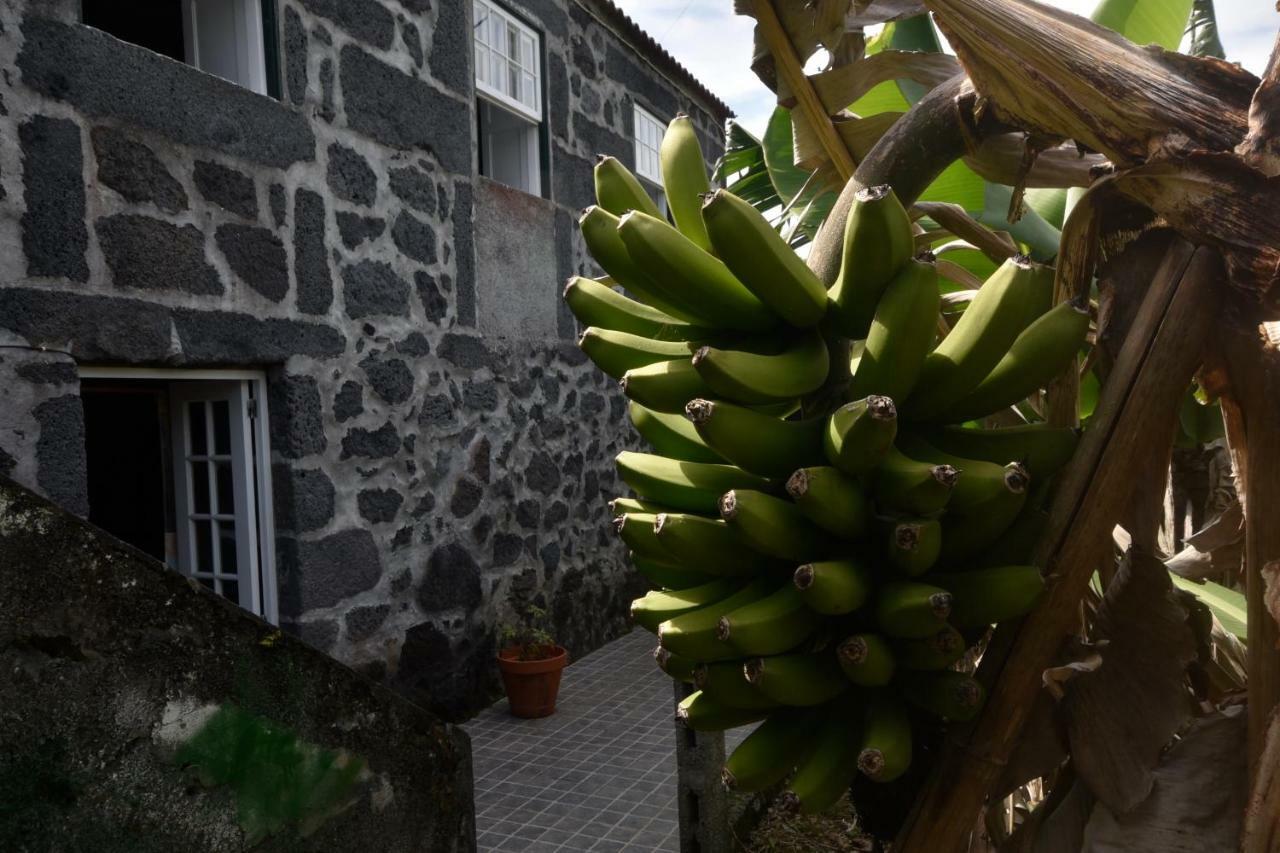 Hotel Adega Do Gato à Calhau Extérieur photo